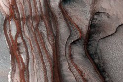 sagansense:   How did these layers of red cliffs form on Mars?  No one is sure. The northern ice cap on Mars is nearly divided into two by a huge division named Chasma Boreale.  No similar formation occurs on Earth. Pictured above, several dusty layers