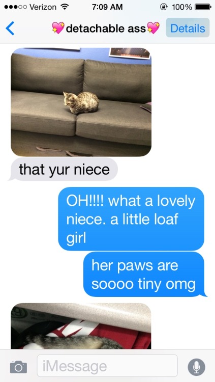 slimekiss:our conversations about cats are real good