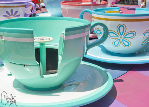 disneyprincesschandler: Green and Blue Cup on Flickr.