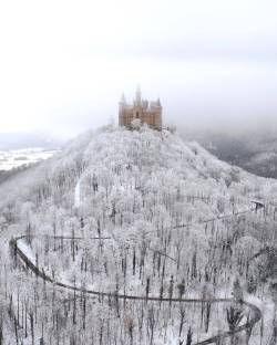 andantegrazioso: La bella addormentata  |