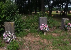 ashevillecemeteries:Saint Matthews Cemetery - Hendersonville, NC