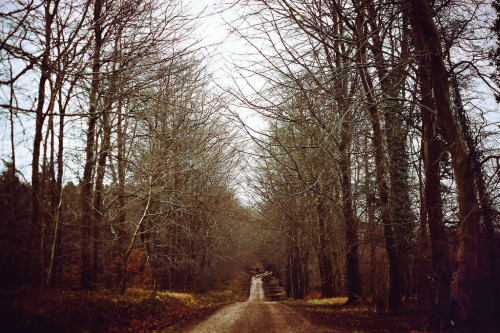 jacindaelena:    by Oliver Liria