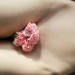 peachy9b:🌸🌸more of me