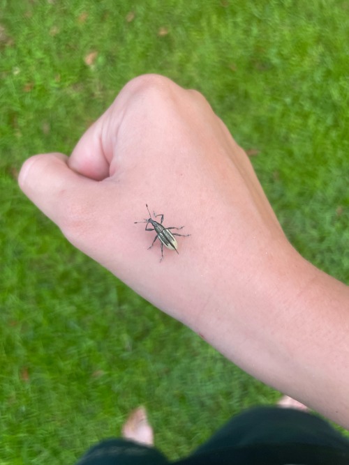 BUG POST LETS GOOOO
