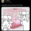 forcibly-doggified