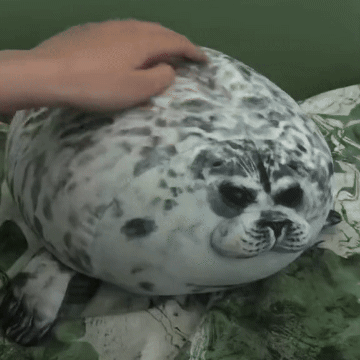 Seal Plushies