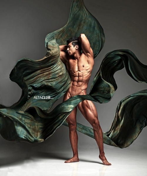 KOREAN SHREDZ