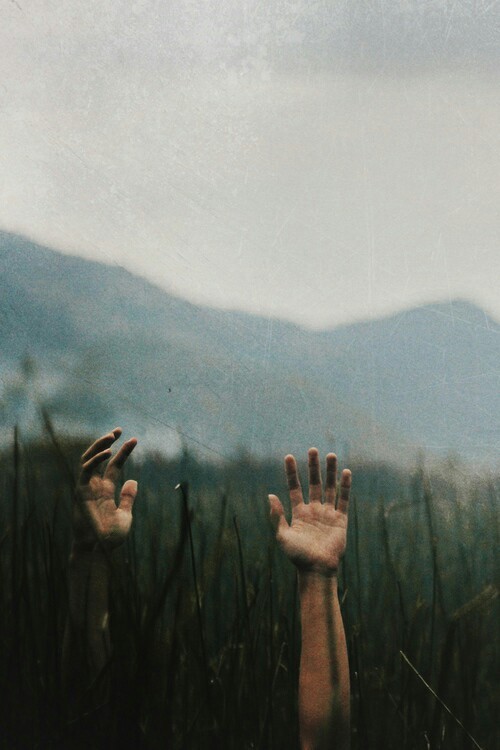 covered-with-mist:  http://covered-with-mist.tumblr.com/ 
