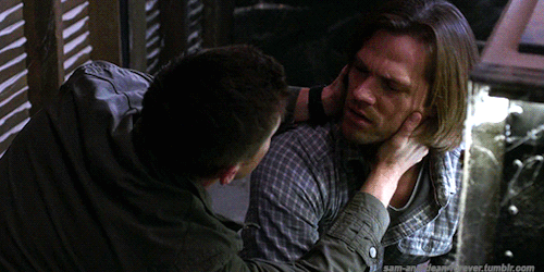 sam-and-dean-forever:  Sam and Dean  ||  10x19  ||  The Werther Project
