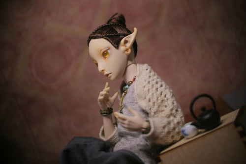 Mucha The Fly - another evening without friend. She is waiting for her elder companion come to havin