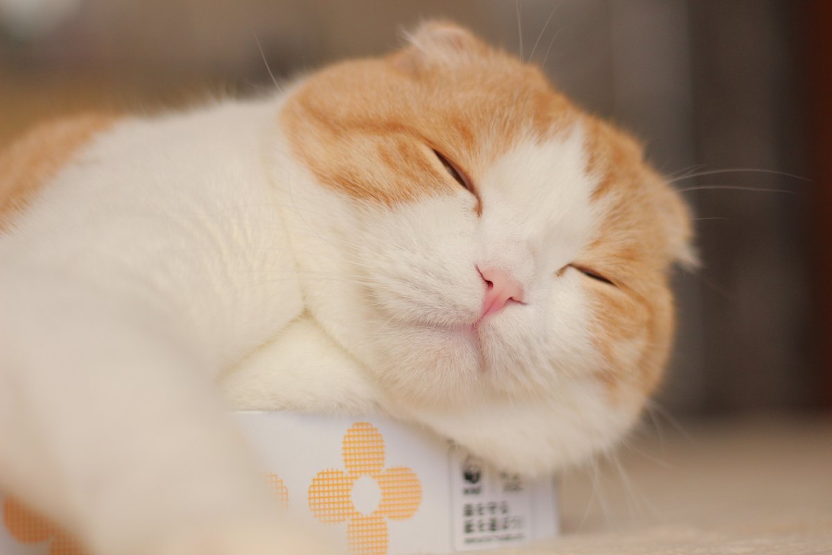 tokkeki:    うなぎ(うなちゃん)‏  