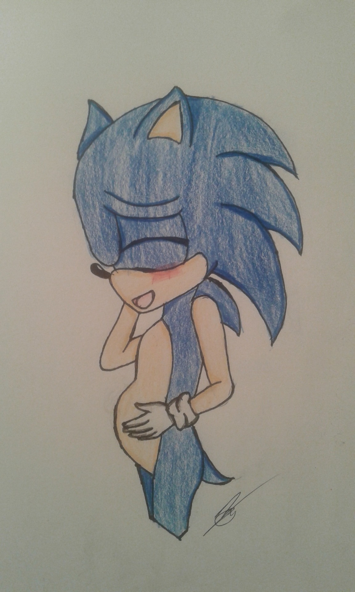 Sonic Pregnant