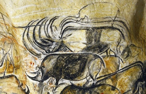 centuriespast:Woolly rhino scenes at Chauvet Cave in southern France were drawn by Ice Age artists m