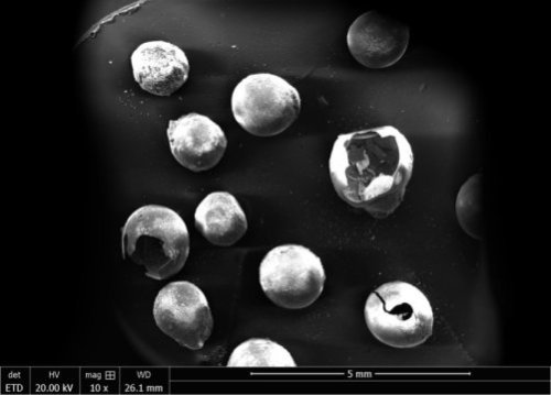  Antireflective Coating: Sugar-based carbon hollow spheres that mimic moth eyesThey are not to eat, 