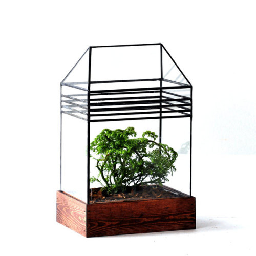 sosuperawesome:Terrariums Lead Head Glass on Etsy