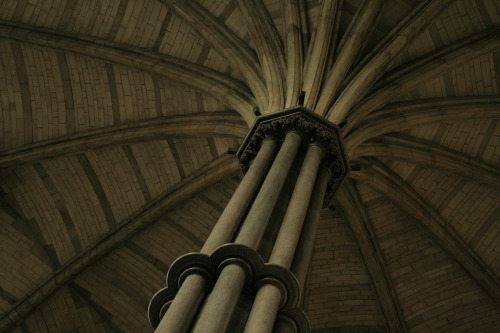 Chapter House, Westminster Abbey, London, view of the ceiling, restoration by George Gilbert Scott.