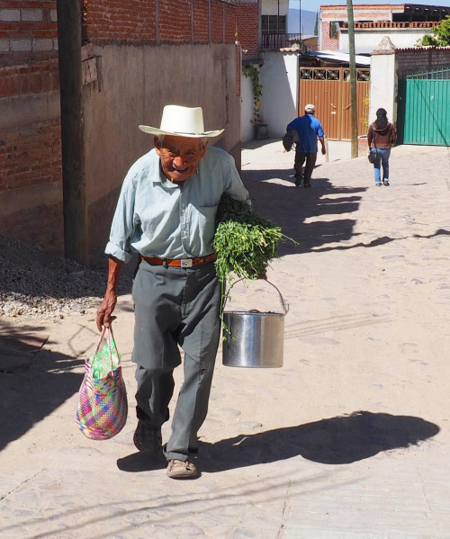 RETURNING FROM THE MARKETTeotitlan, Mexico   February 2016