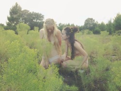we-are-all-one-tribe:  Meadow faeries 