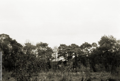 Some More "peripheral Tundras" From Last November. Let's Also Welcome All The [edit] New [/edit] Followers!