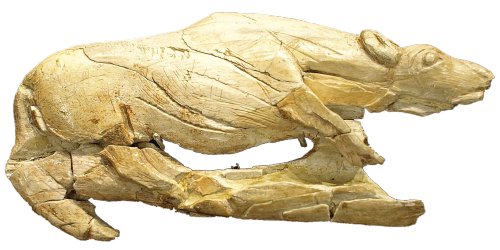 Creeping Hyena, Prehistoric artifact found in the La Madeleine rock shelter in Tursac, Dordogne, Aqu
