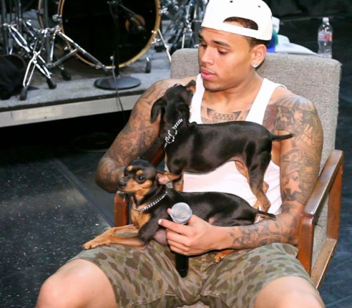 thecocoacumslut:  Chris Brown is a freak. adult photos