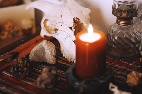 Imbolc altar. 