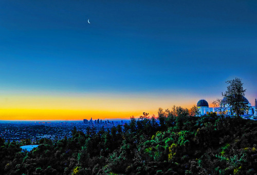 XXX hopeforlosangeles:  Griffith park, Los Angeles photo