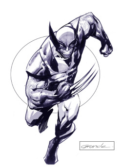 wolverineholic:  by J.C. Grande