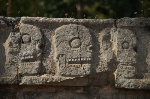 The Maya ‘Wall of Skulls’ (Tzompantli) at Chichén Itzá, Yucatan, Mexico.Tzompantli means “skull rack