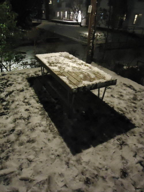 It snowed in Tokyo yesterday!