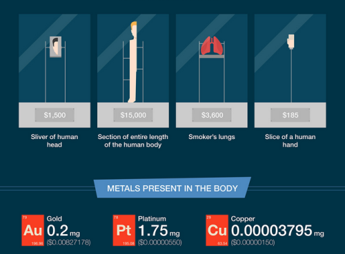 mypsychology:More cool infographic? Check out my blog @mypsychology.