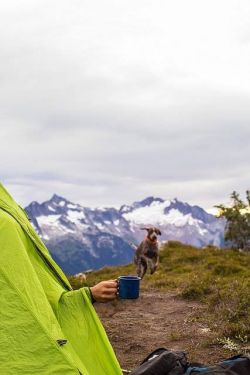 Climbingamountainwithawolf:  Who Wants Coffee? “Me Me Meeee Pleease Meeeee” 