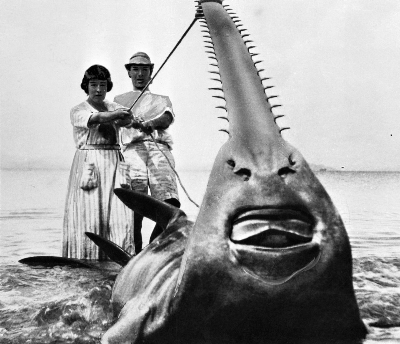 He Came, He Sawed…and Was Conquered, Los Angeles, Calif., 1933. This 31-foot sawfish