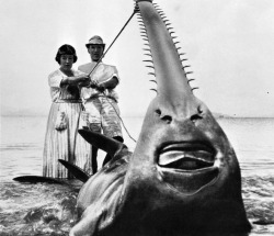 He Came, He Sawed…And Was Conquered, Los Angeles, Calif., 1933. This 31-Foot Sawfish