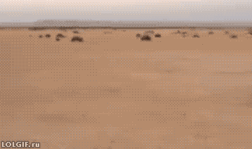 LOL Gifs