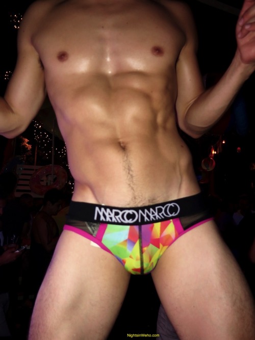 WEST HOLLYWOOD NIGHTS