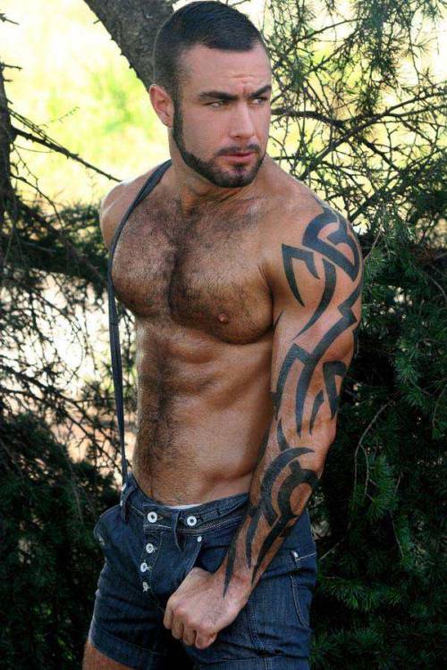 allmaleharem:  Orlando Toro