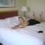 mymidnighthought-blog