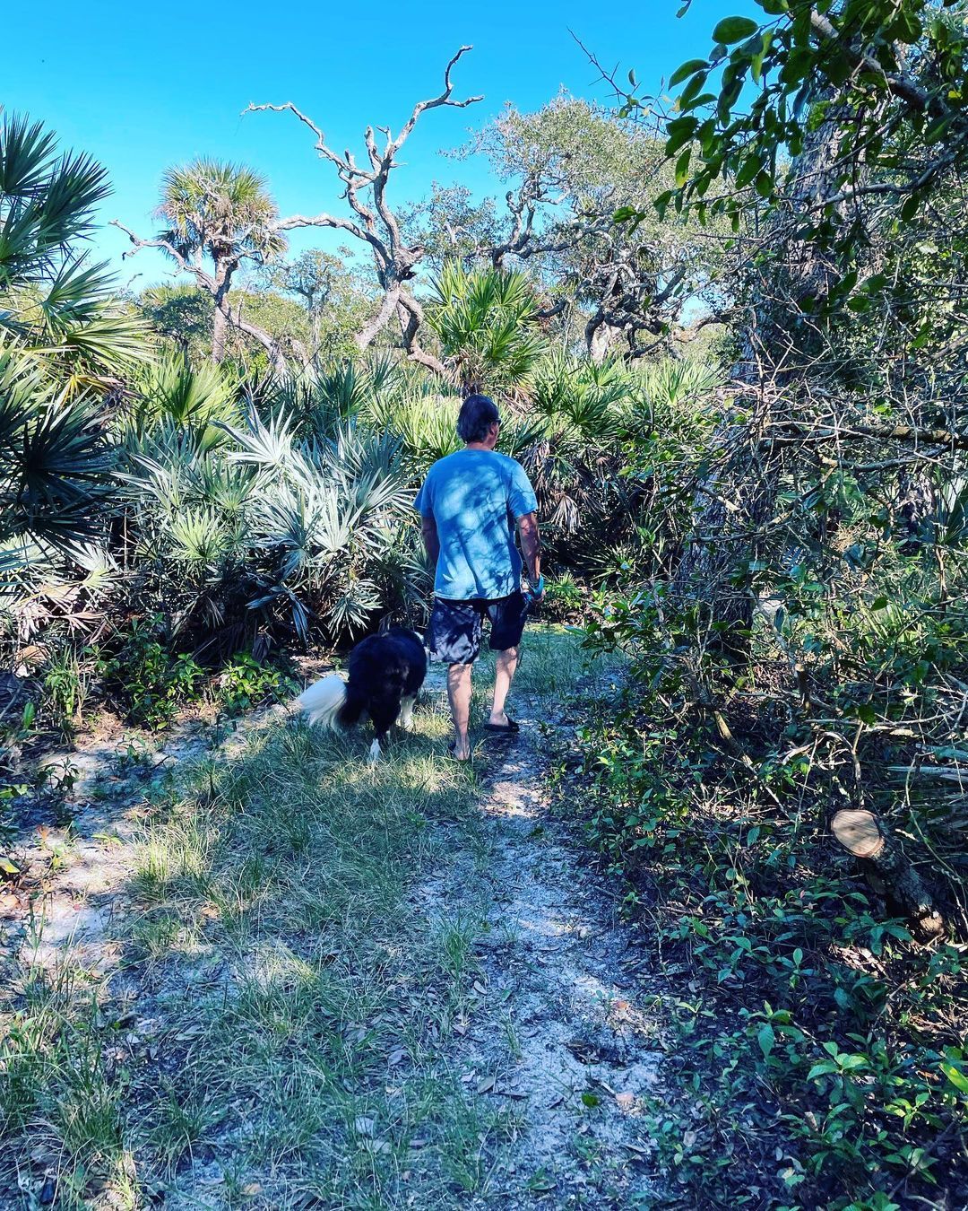 Today’s fun. Hiking at the Cape, and I got to see Moon! Happy Saturday y’all. 





#nsb #florida #cats #dogs #