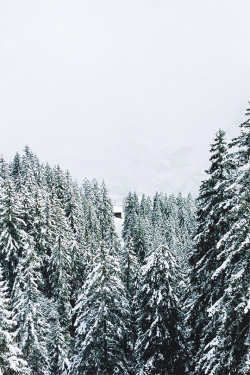 thelavishsociety:  Tree Line by Marcio Serpa 