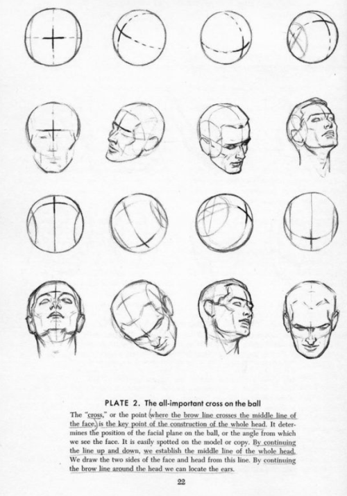 deepredroom:   How to draw heads. Good advice. I used to draw the head as one shape, put splitting it up into two, the cranium and the jaw, makes getting the shape right much easier. 