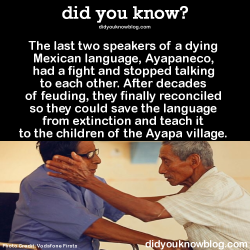 did-you-kno:  Now they are teaching the language