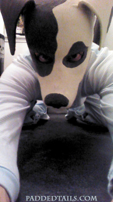 diaperwruff:  Rubber Baby Puppy! PaddedTails.com  Awwwwh cute puppy in his rubberdawg hood :) 