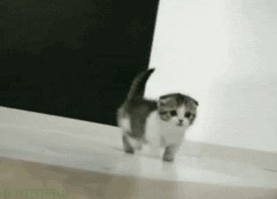bandsomnia:Guys remember if you are ever having a bad day, look at these gifs. Just look at them.