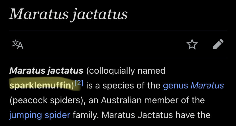 exemplarybehaviour:tahthetrickster:essence-of-foxfire-charm:tahthetrickster:absolutely fucked up that there’s literally a species of spider called the sparklemuffinI’m sorry,, there’s a what??okay but you didn’t include a photo!!!!he