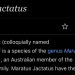 exemplarybehaviour:tahthetrickster:essence-of-foxfire-charm:tahthetrickster:absolutely fucked up that there’s literally a species of spider called the sparklemuffinI’m sorry,, there’s a what??okay but you didn’t include a photo!!!!he