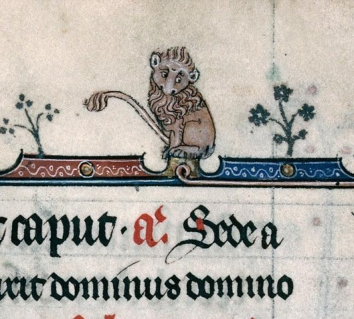 blancefleur: Shy lion on top of the text Verdun, Bibliotheque Municipale 0107 - Bréviaire de 