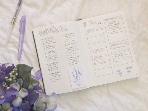 studyingsenseless:08.05.17 • a lavender spread.Honestly I’ve been pretty lethargic lately