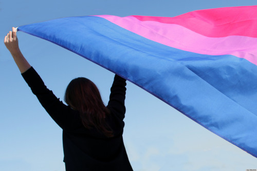 gaywrites:  It’s Bi Visibility/Celebrate Bisexuality Day! Learn more and find ways to celebrate in your community here. Fellow bisexuals, I salute you!  