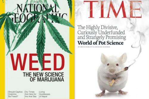 weedporndaily:  National Geographic, Time both have science-of-pot cover stories this week(Cannabist) Have a look at your local bookseller’s magazine rack this week. It might even be worth an Instagram — for history’s sake.Two of America’s most